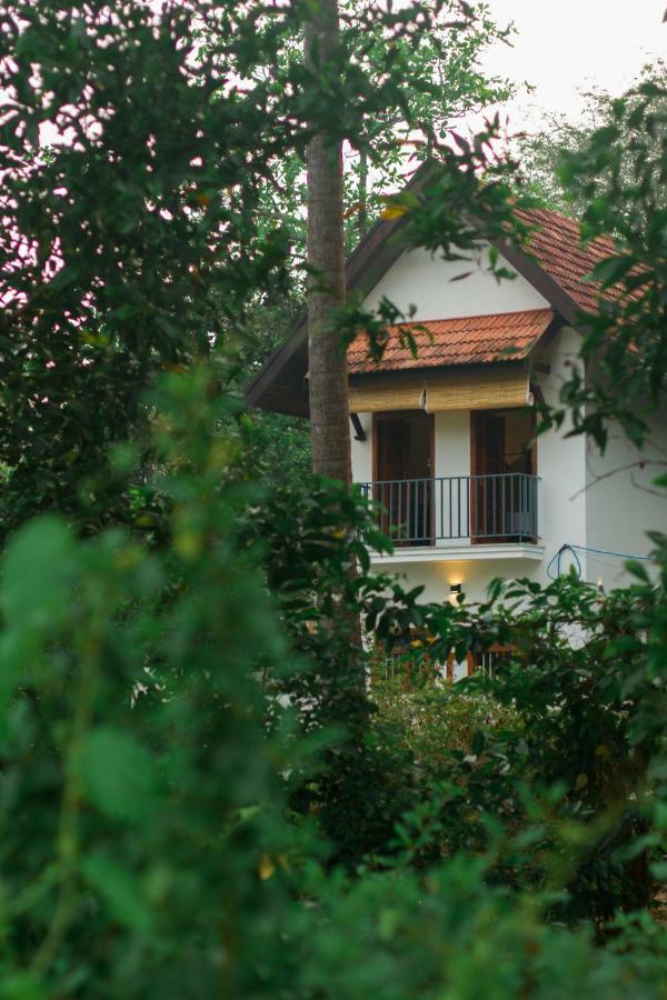 Villa Mia Марарікулем Екстер'єр фото